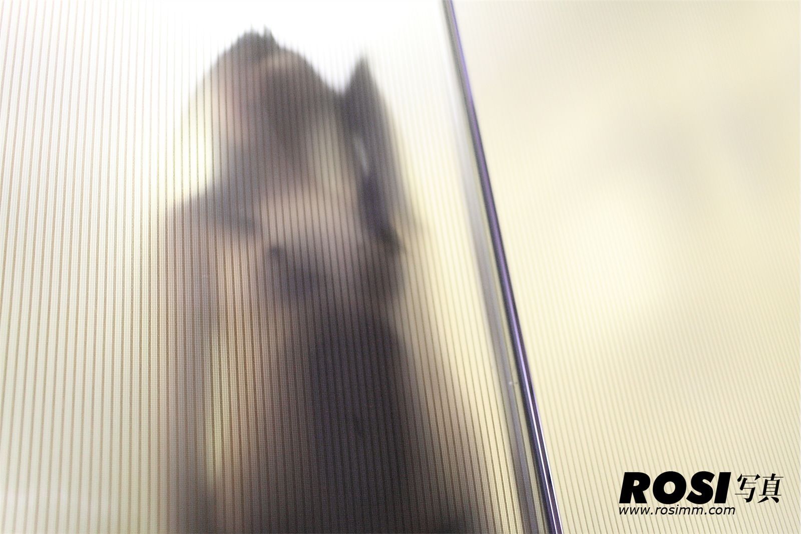 [ROSI]No.445 匿名写真 四川成都性感丝袜美女