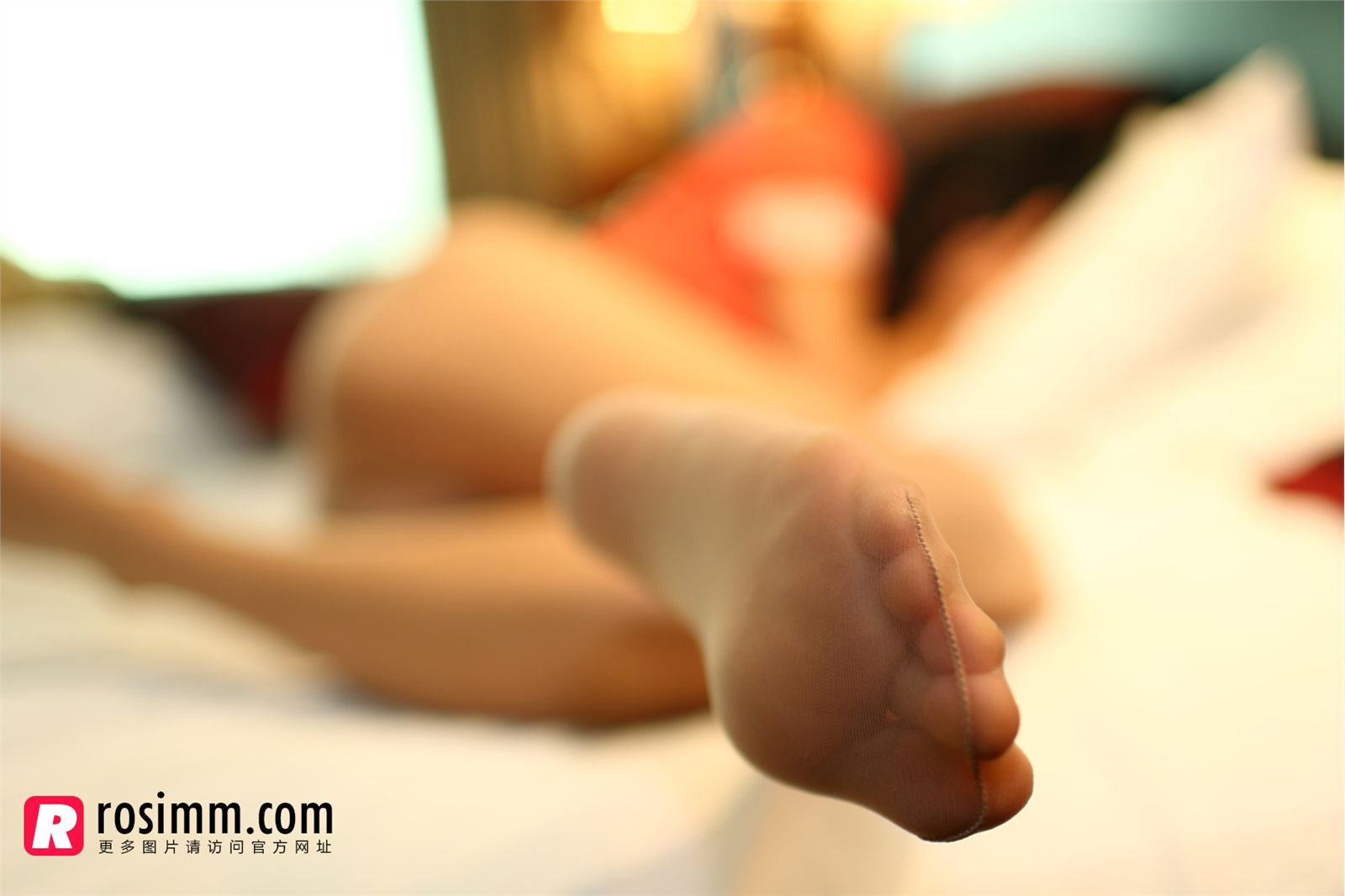 [ROSI] 20140209 No.796 匿名寫真 [30P21.9M]