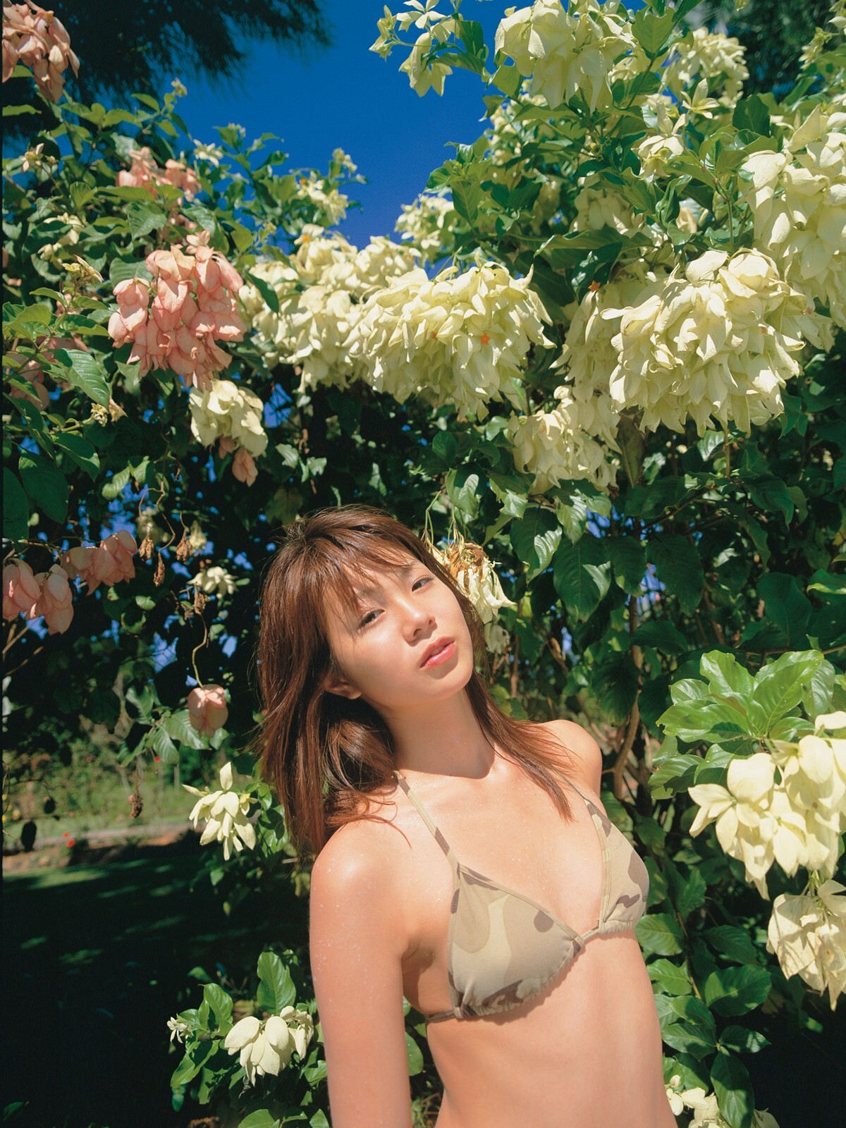 [Sabra.net]日本美女合集 水谷さくら Yuri Morishita 杉本有美