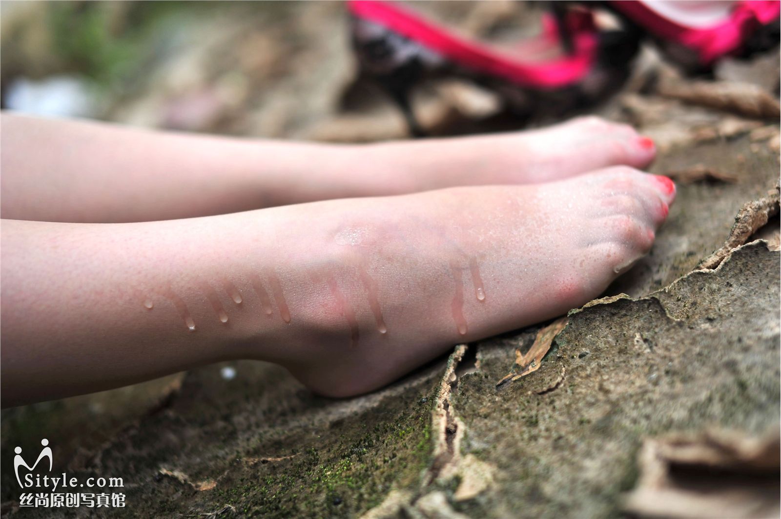 [Sityle]20120516 NO.008 丝尚写真馆　性感美女丝袜写真