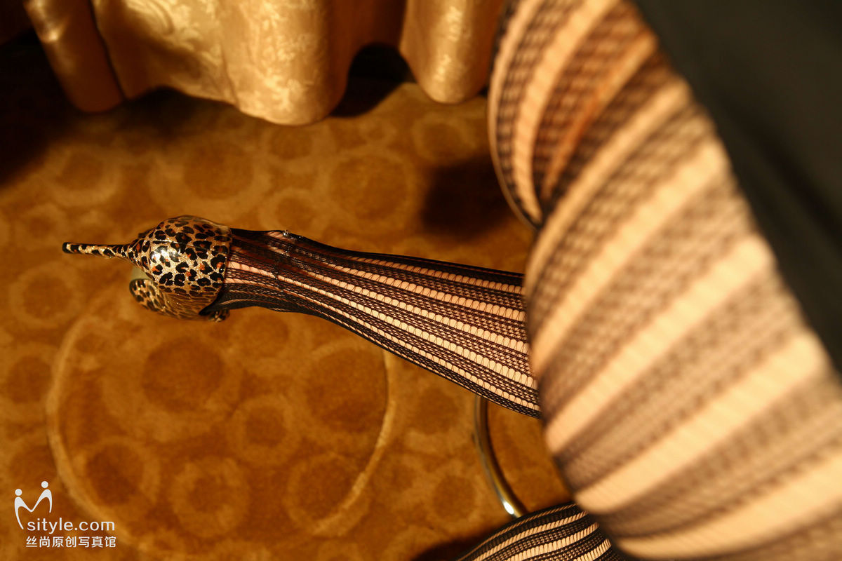 [Sityle] 2013.05.05 丝尚Sityle-VIP NO.021 VIP特辑