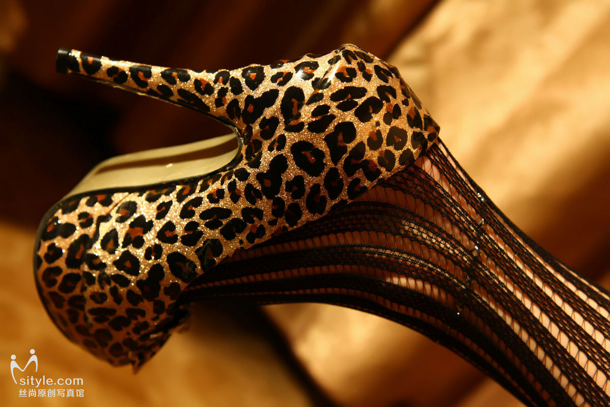 [Sityle] 2013.05.05 丝尚Sityle-VIP NO.021 VIP特辑