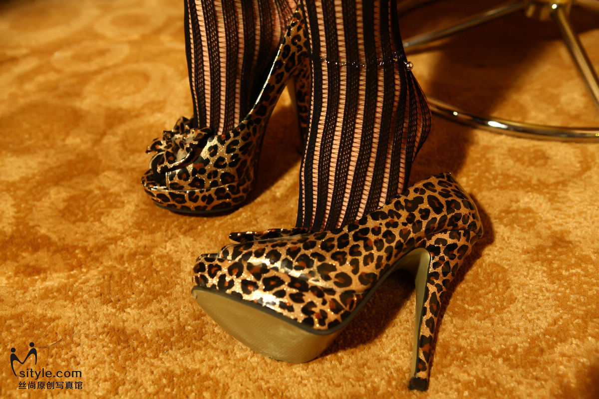 [Sityle] 2013.05.05 丝尚Sityle-VIP NO.021 VIP特辑