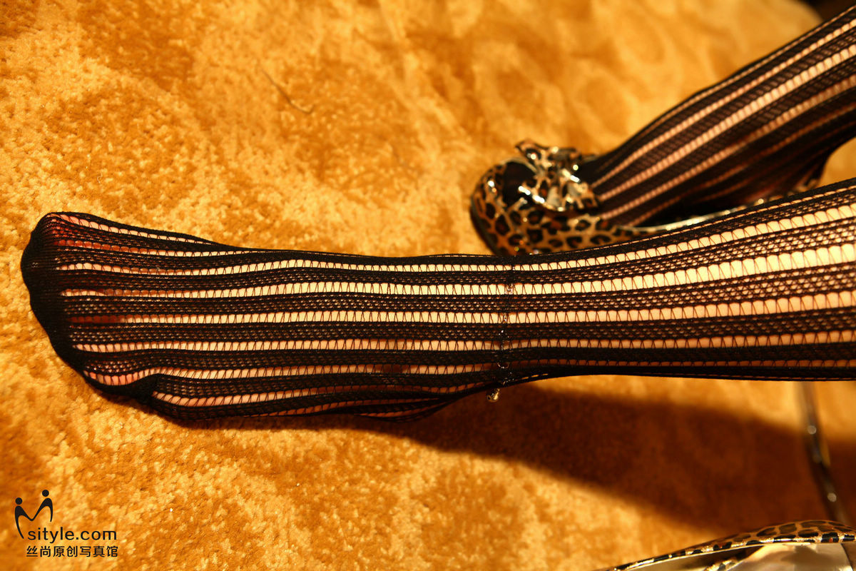 [Sityle] 2013.05.05 丝尚Sityle-VIP NO.021 VIP特辑