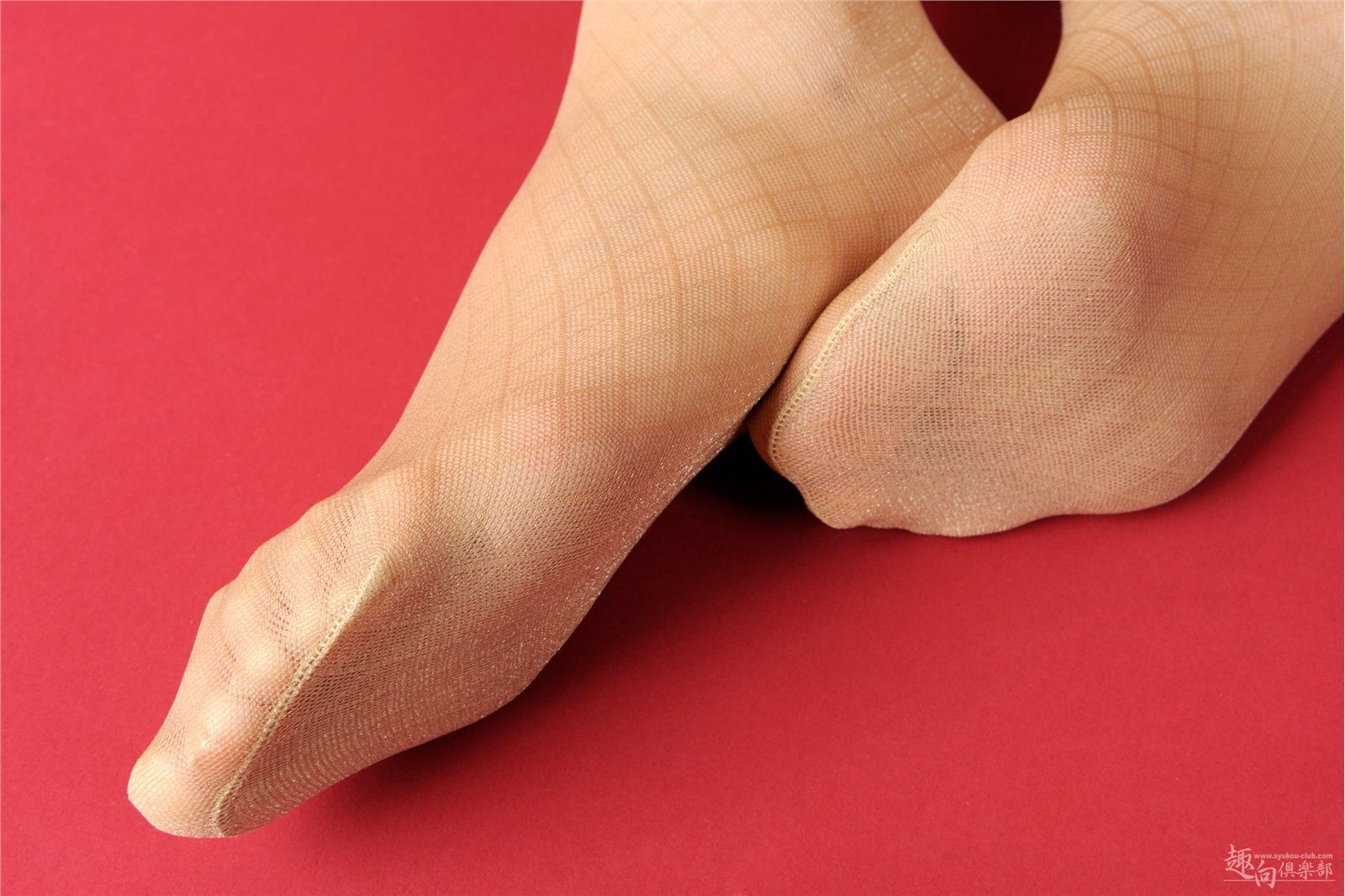 [Syukou-Club] Digi-Girl No.00141 人妻女体图鉴