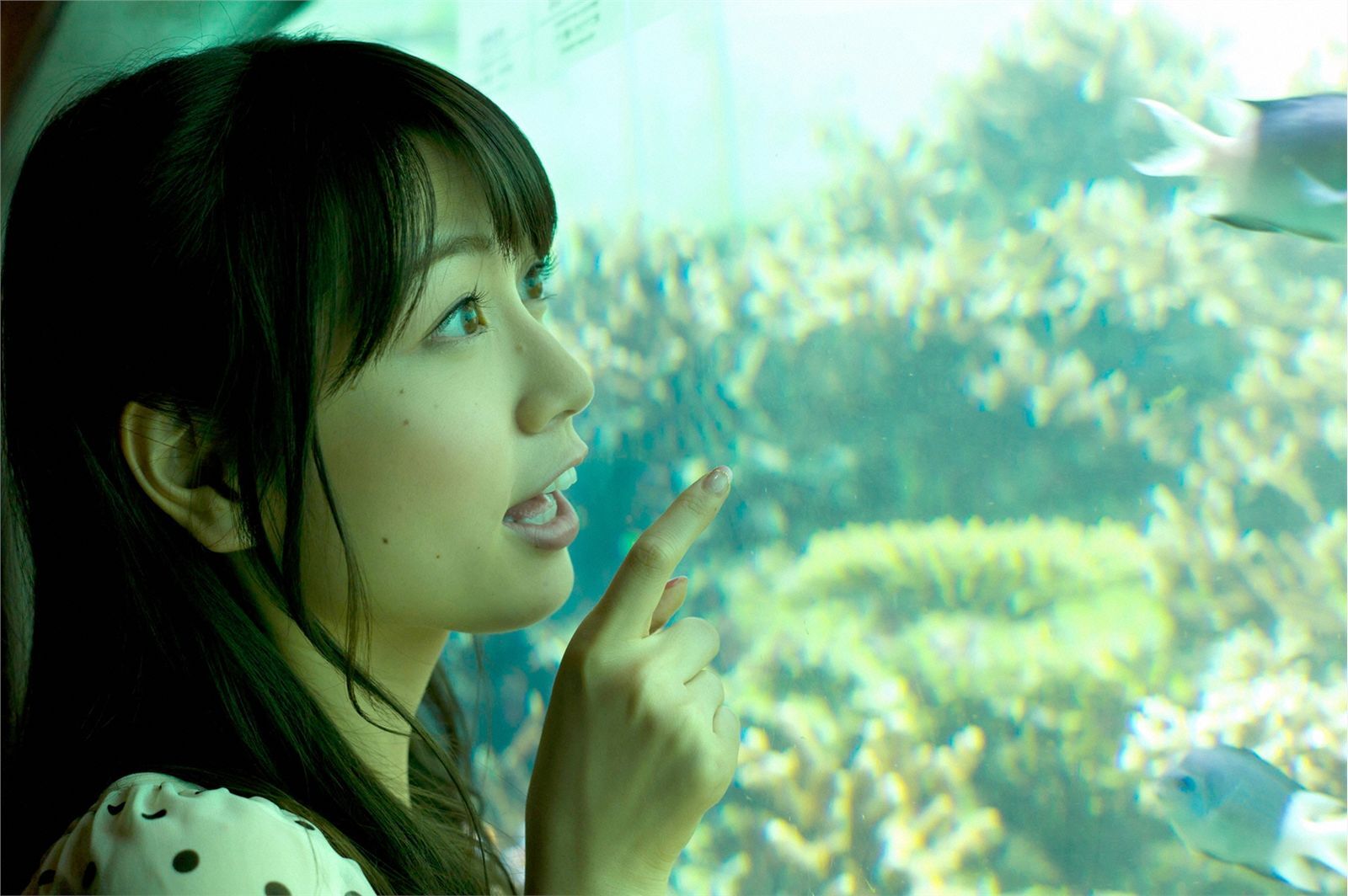 寺田Chihiro[Wanibooks] #95 1st week 日本性感写真图片