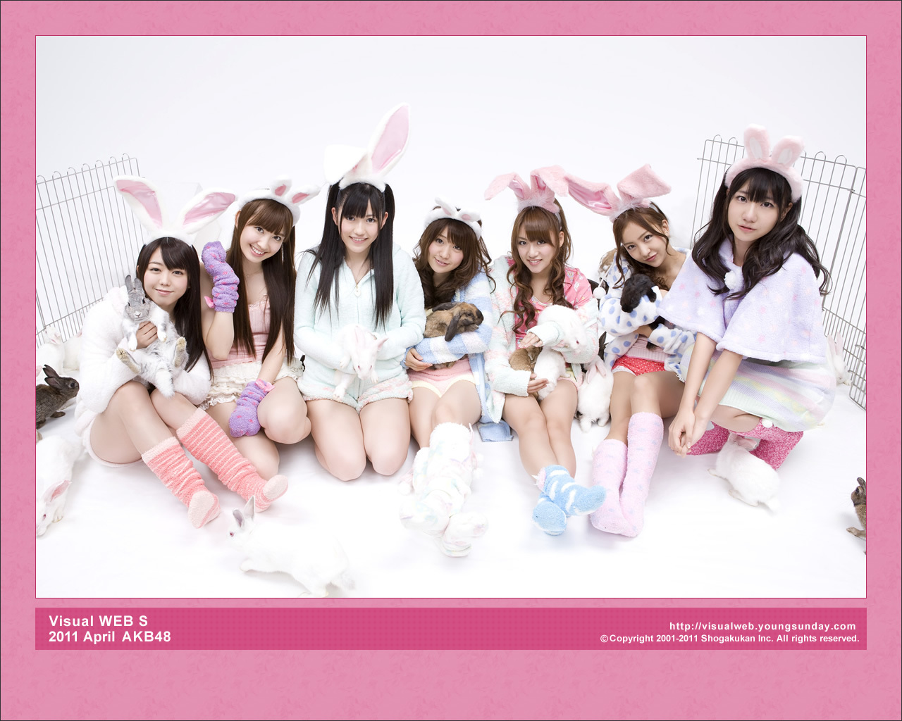 『ワンダー.バニー.パーティー』 [YS Web] Vol.396