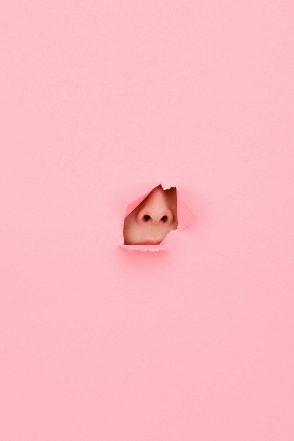 week Kyarypamyupamyu [YS-Web] Vol.475 日本美女