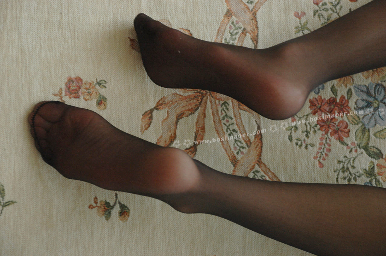 波斯猫儿合集精选Part2