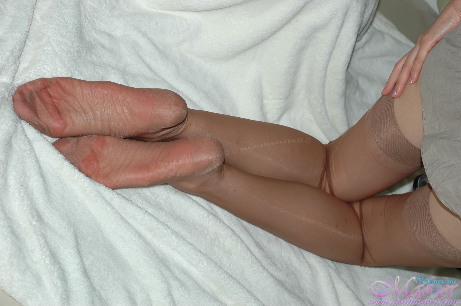 波斯猫儿VIP套图 精美丝袜合集精选(7)