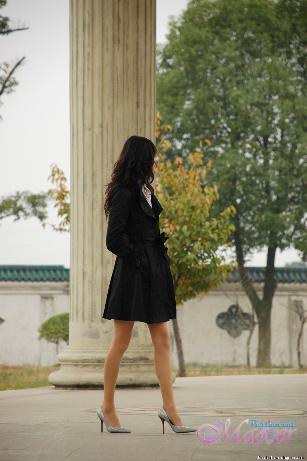 黑衣肉丝搭配 波斯猫儿丝袜合集精选Part38