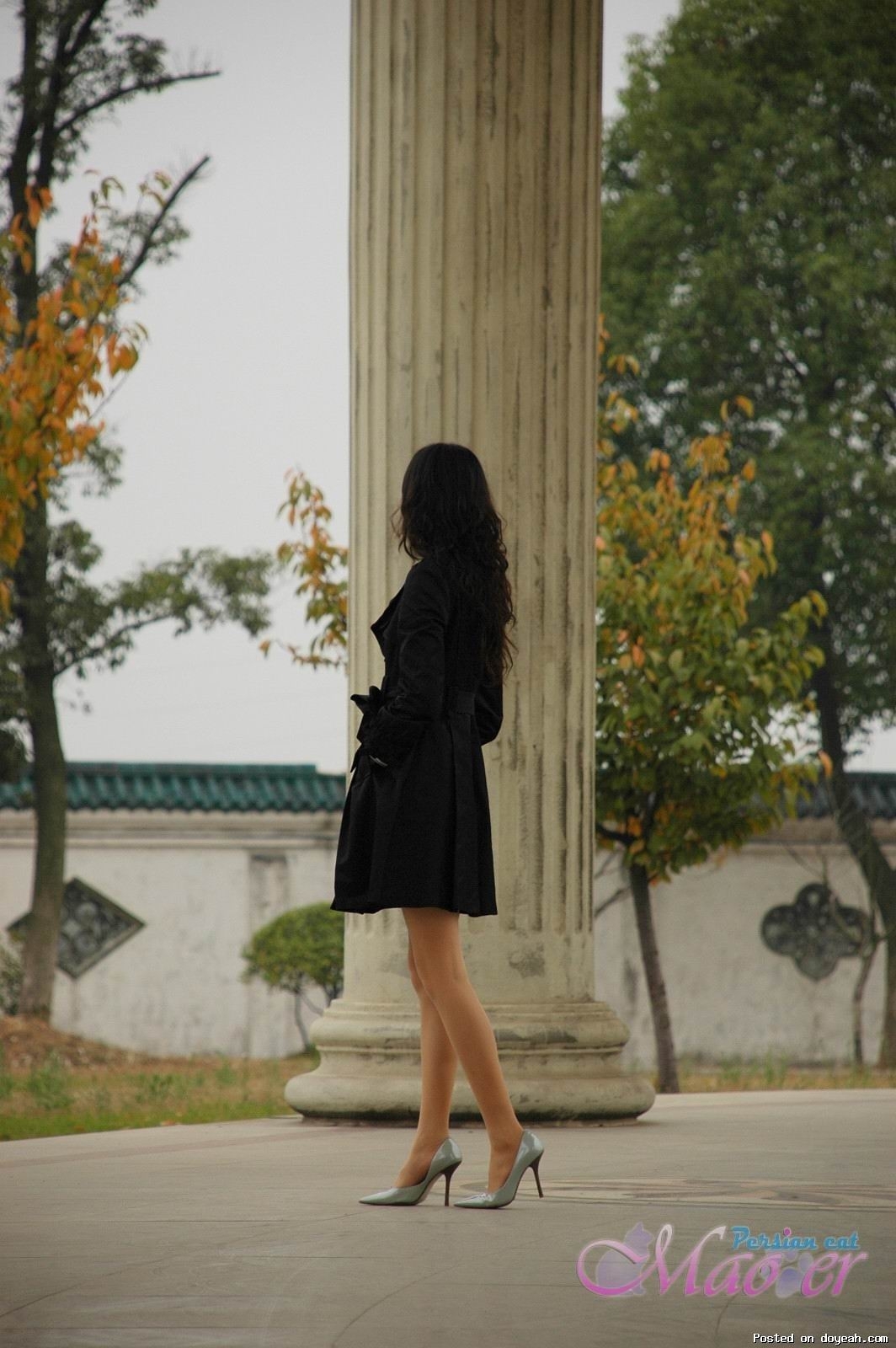 黑衣肉丝搭配 波斯猫儿丝袜合集精选Part38