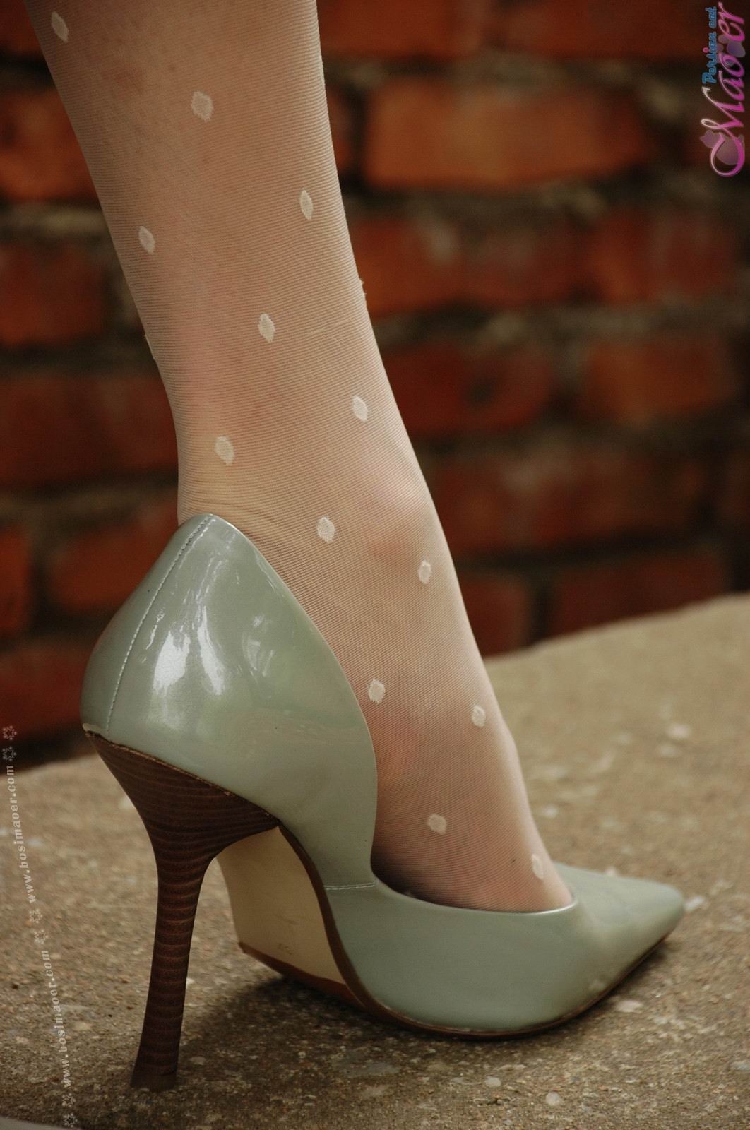 猫儿户外斑点丝袜诱惑 [波斯猫儿]