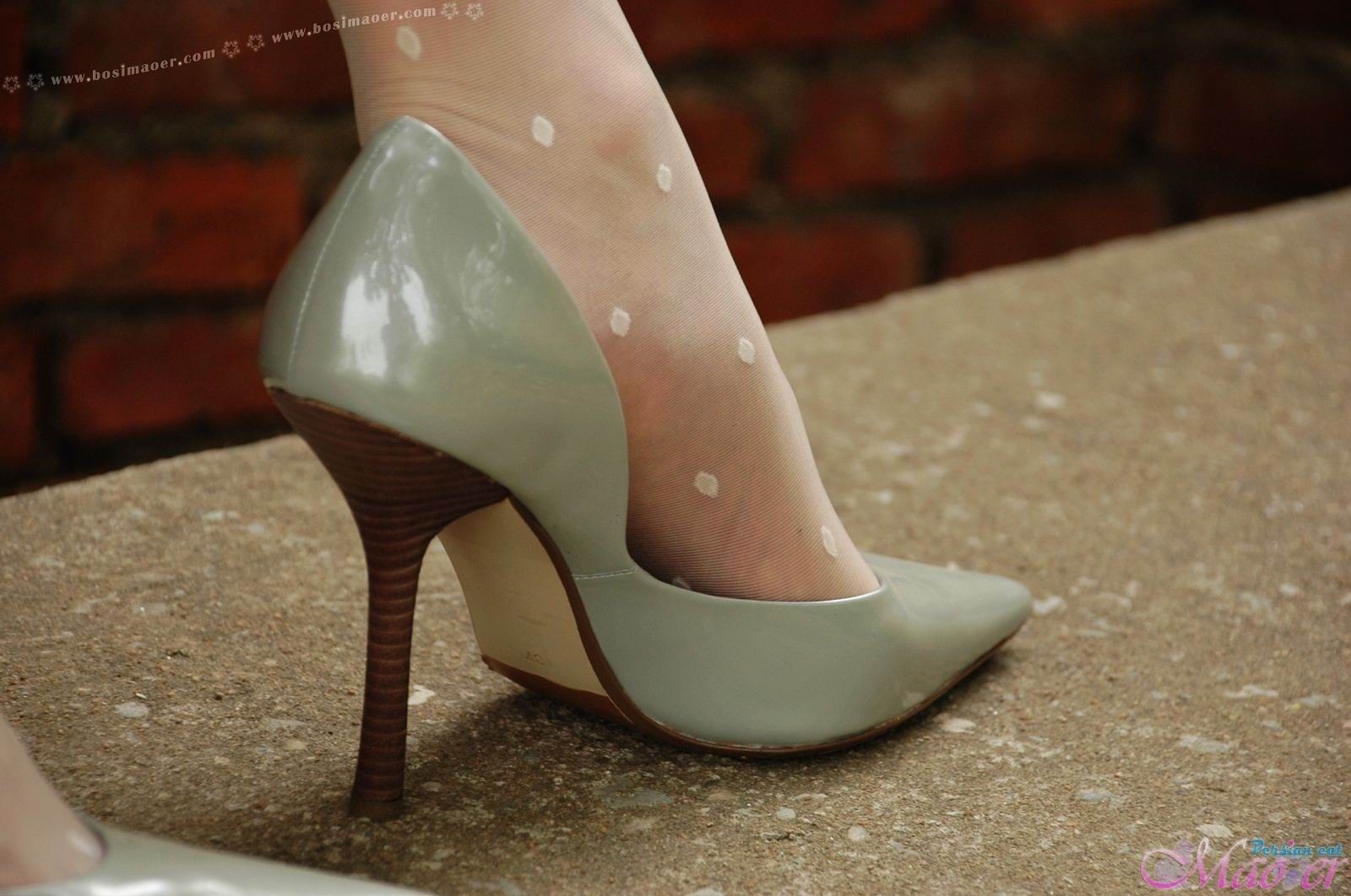 猫儿户外斑点丝袜诱惑 [波斯猫儿]