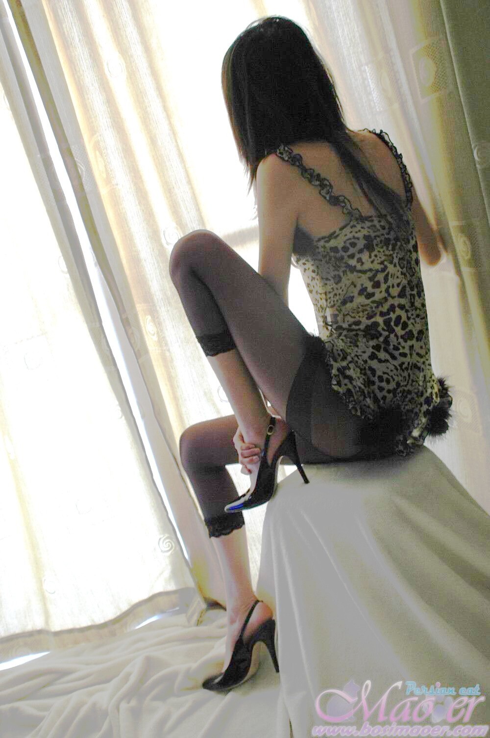 情趣黑丝打底裤诱惑 波斯猫儿VIP套图