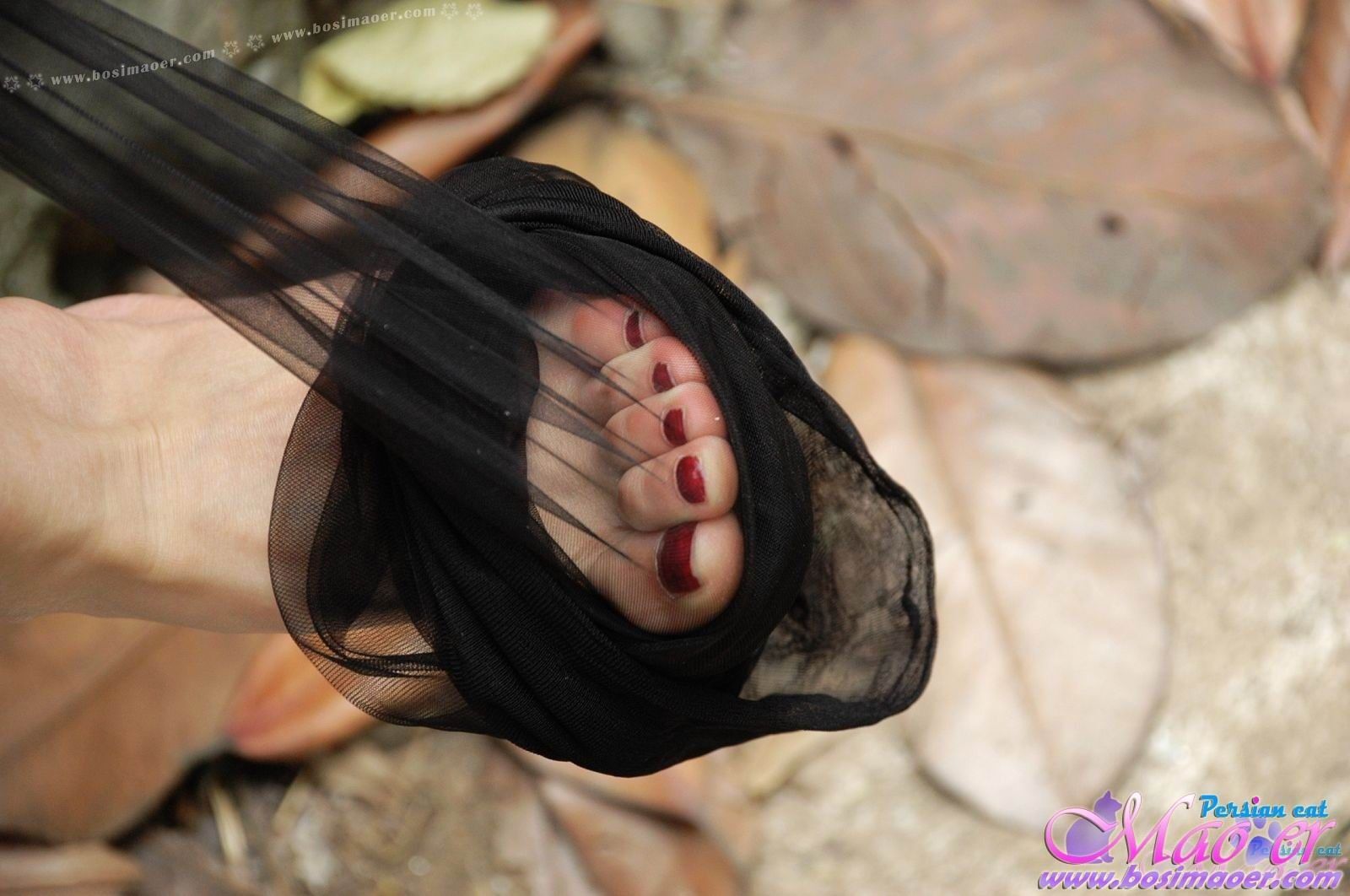 黑丝吊带的白嫩大腿 波斯猫儿合集精选Part44