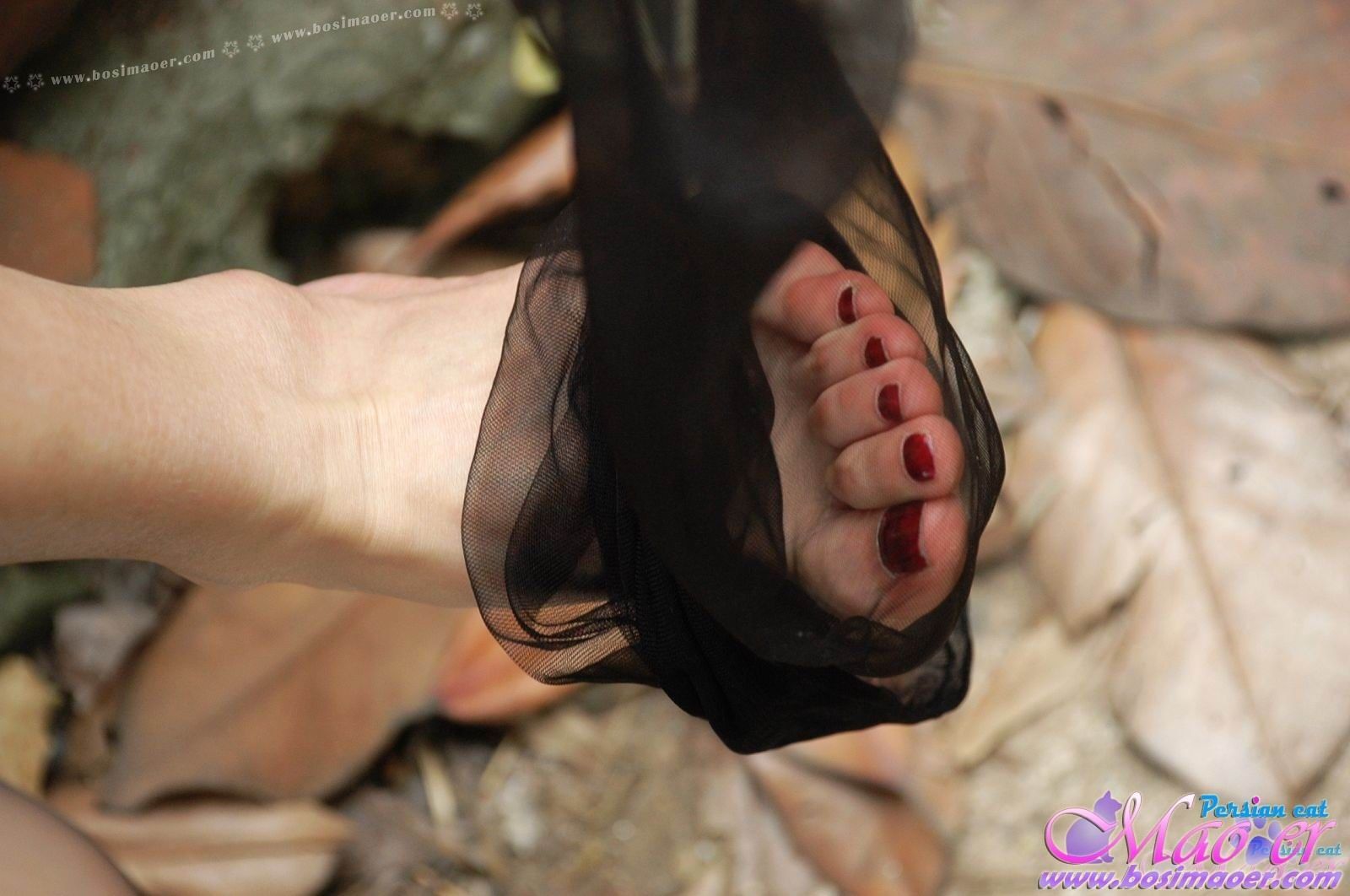 黑丝吊带的白嫩大腿 波斯猫儿合集精选Part44