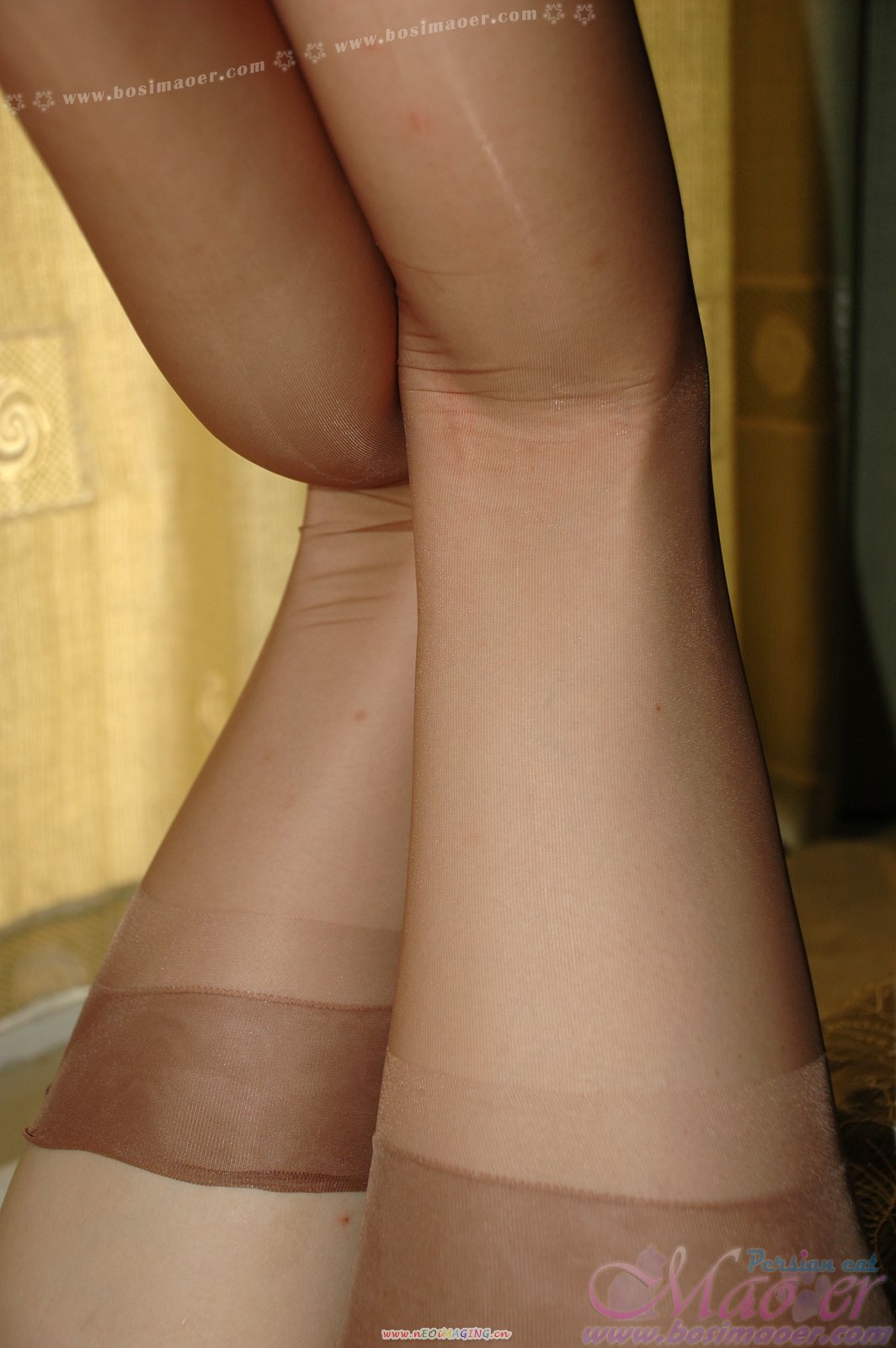 肉丝恋足 波斯猫儿丝袜美女系列精选10