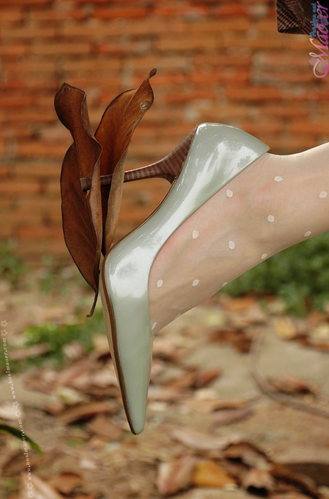 野外花纹丝袜写真美女  波斯猫儿合集精选Part29