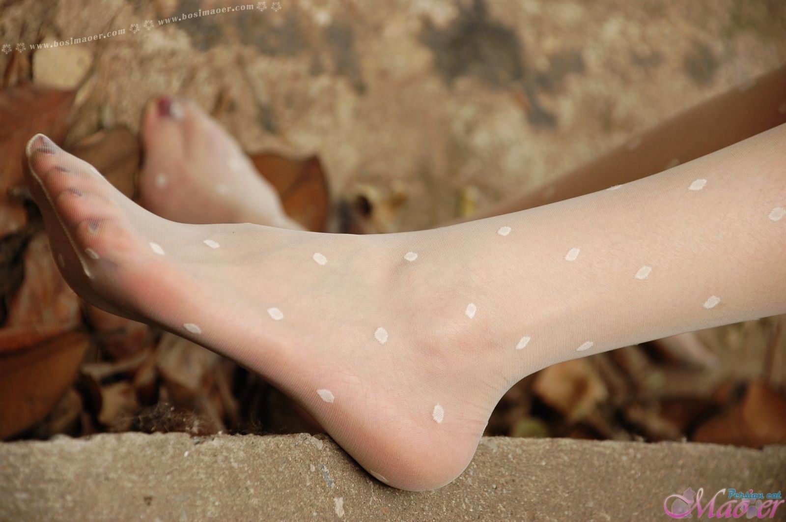 脱下野外花纹丝袜 波斯猫儿Part30