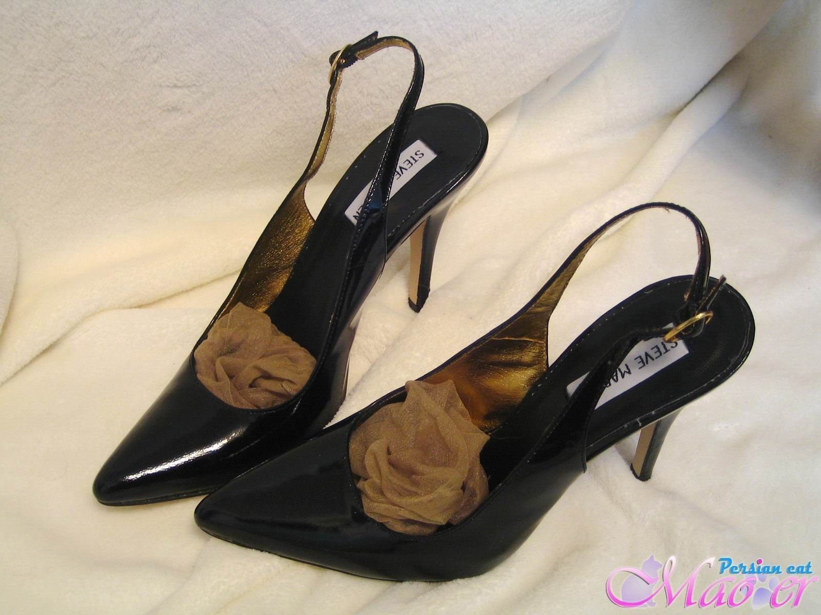 丝袜美女恋足秀 波斯猫vip精选套图