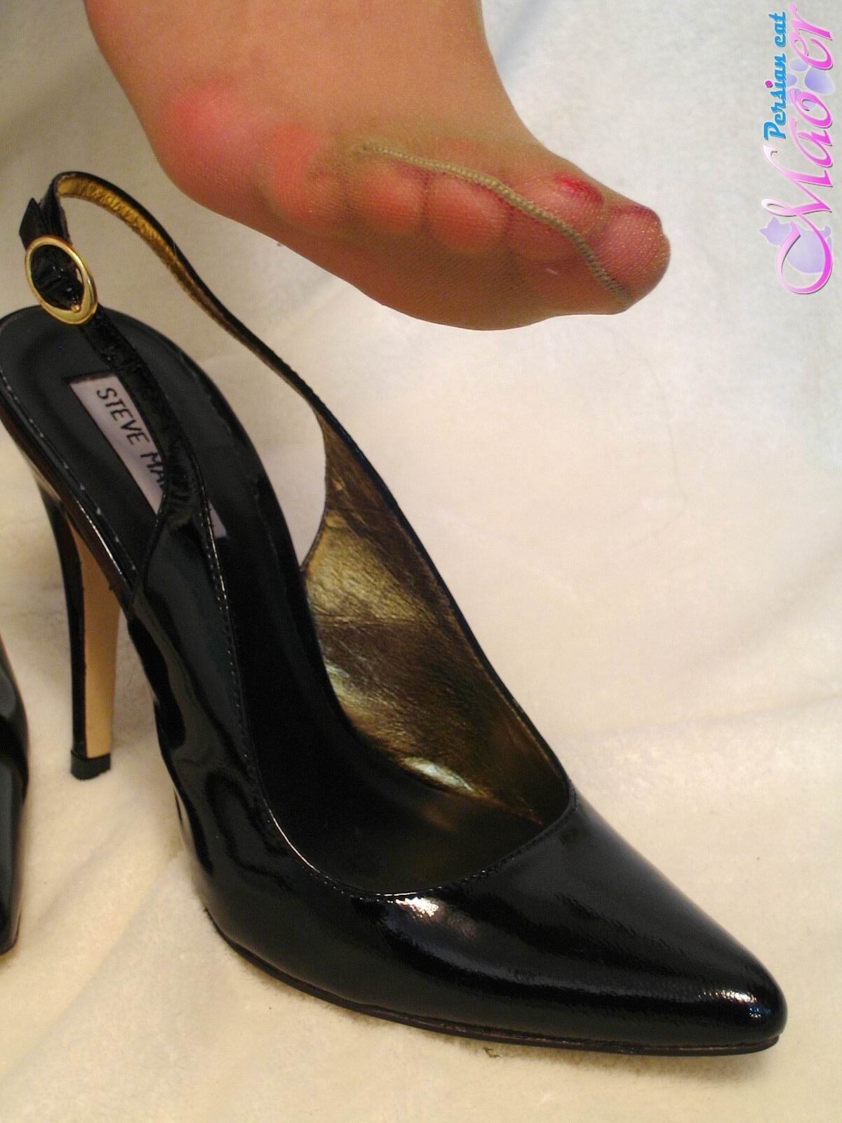 丝袜美女恋足秀 波斯猫vip精选套图