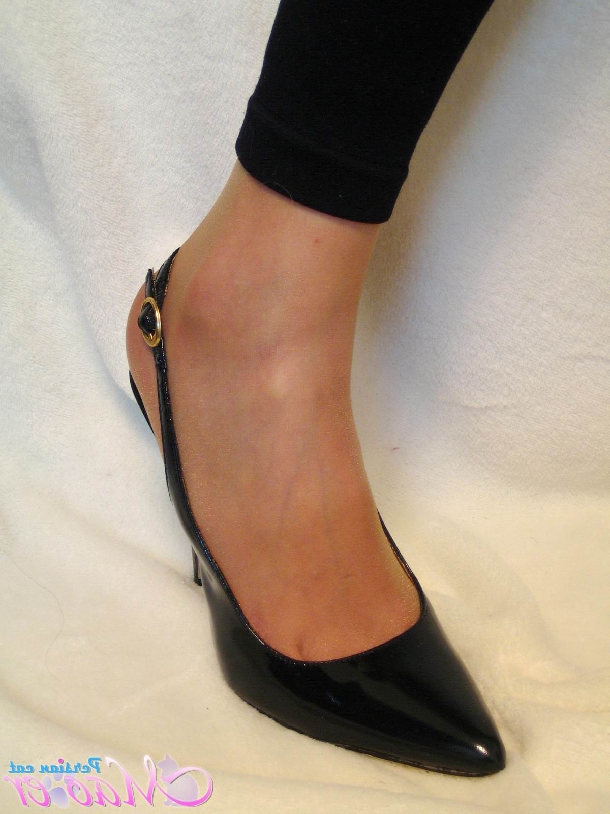 丝袜美女恋足秀 波斯猫vip精选套图