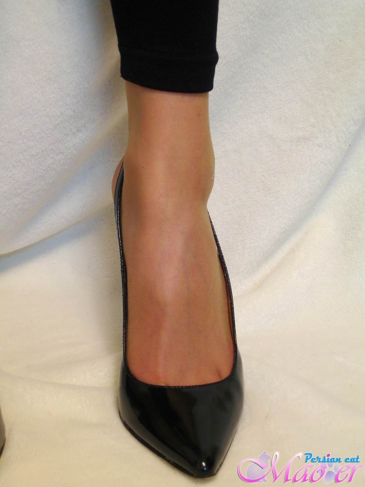 丝袜美女恋足秀 波斯猫vip精选套图