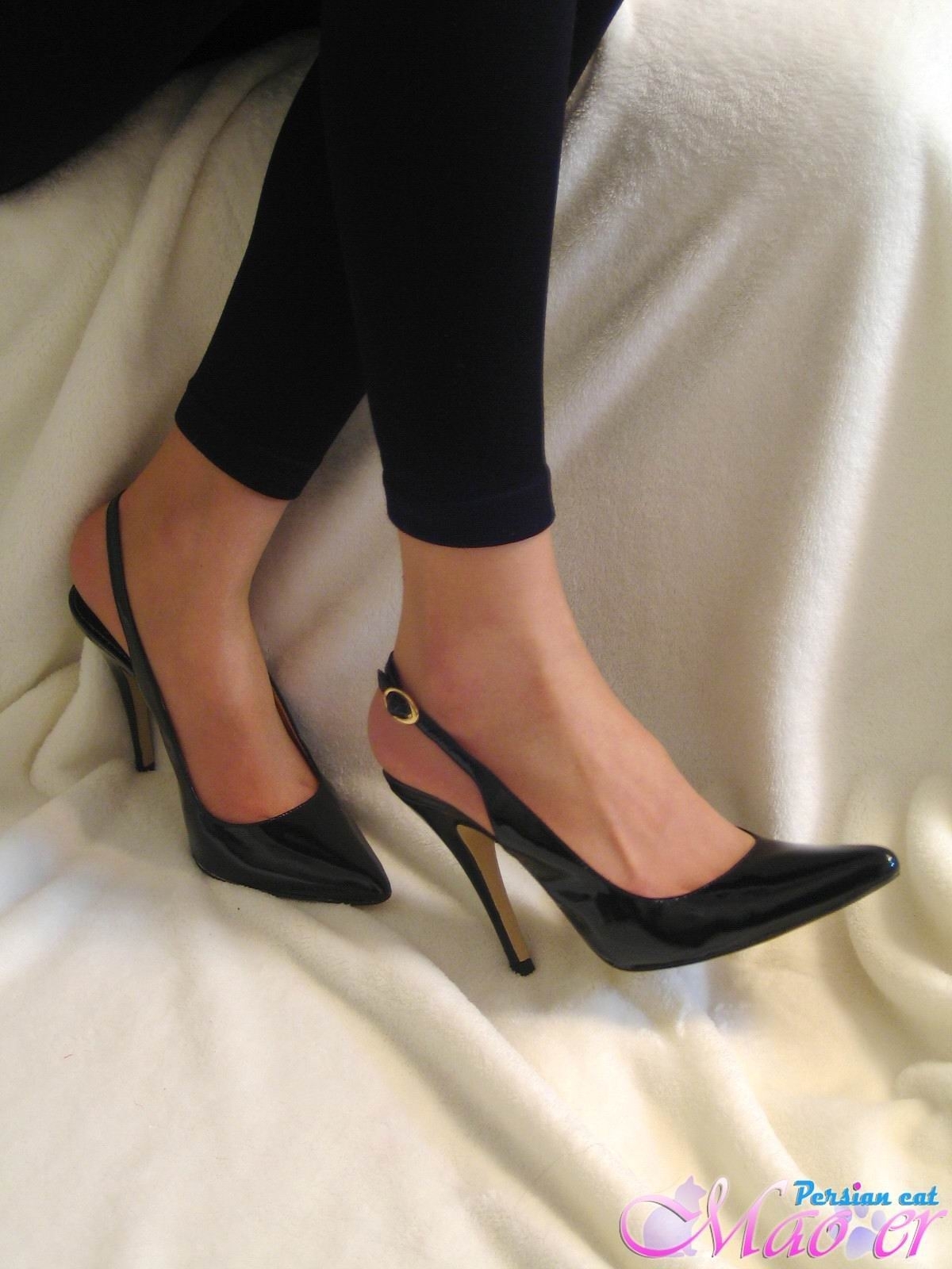 丝袜美女恋足秀 波斯猫vip精选套图