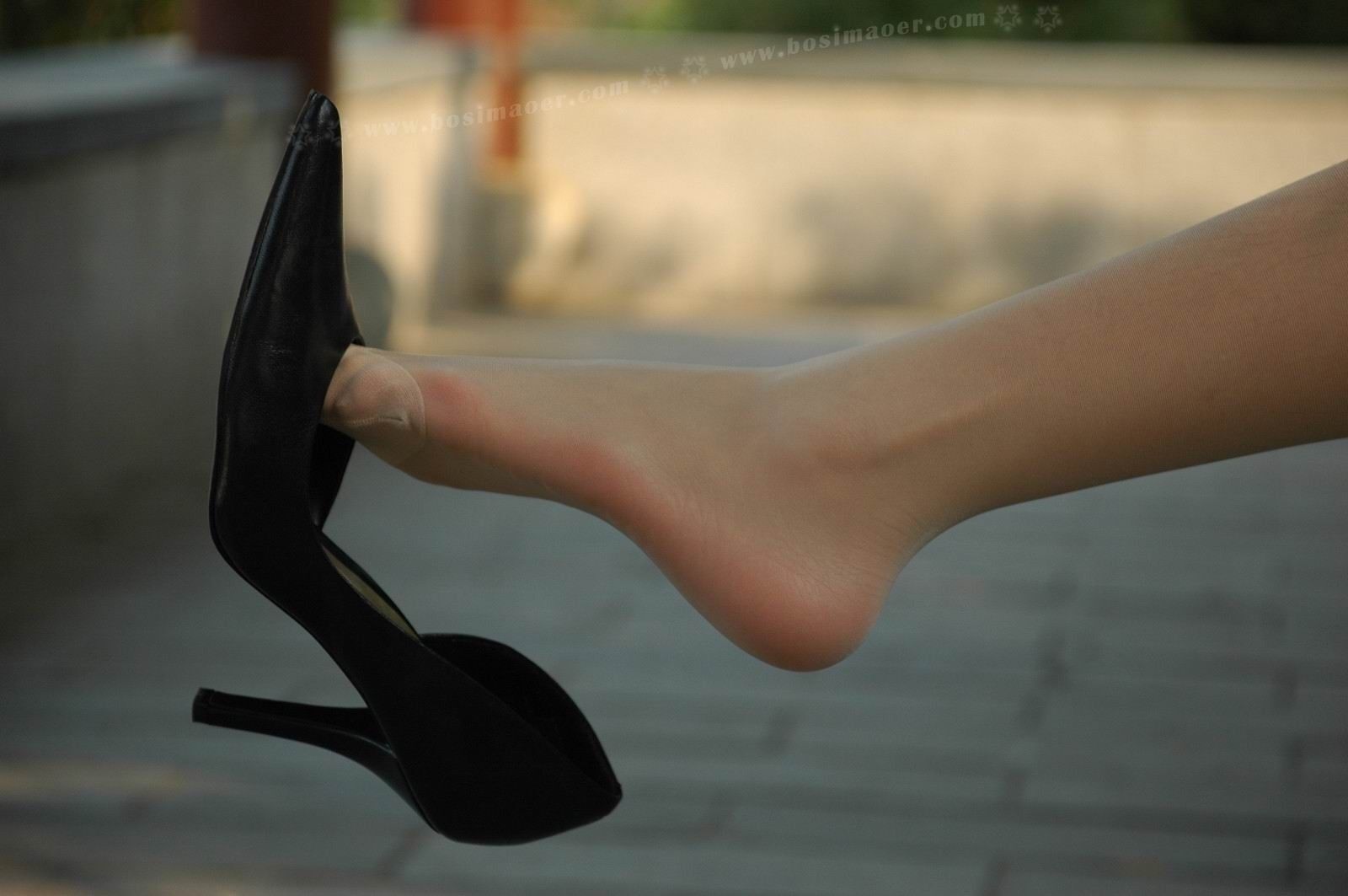 鹊桥肉丝黑高美妇 波斯猫儿VIP套图