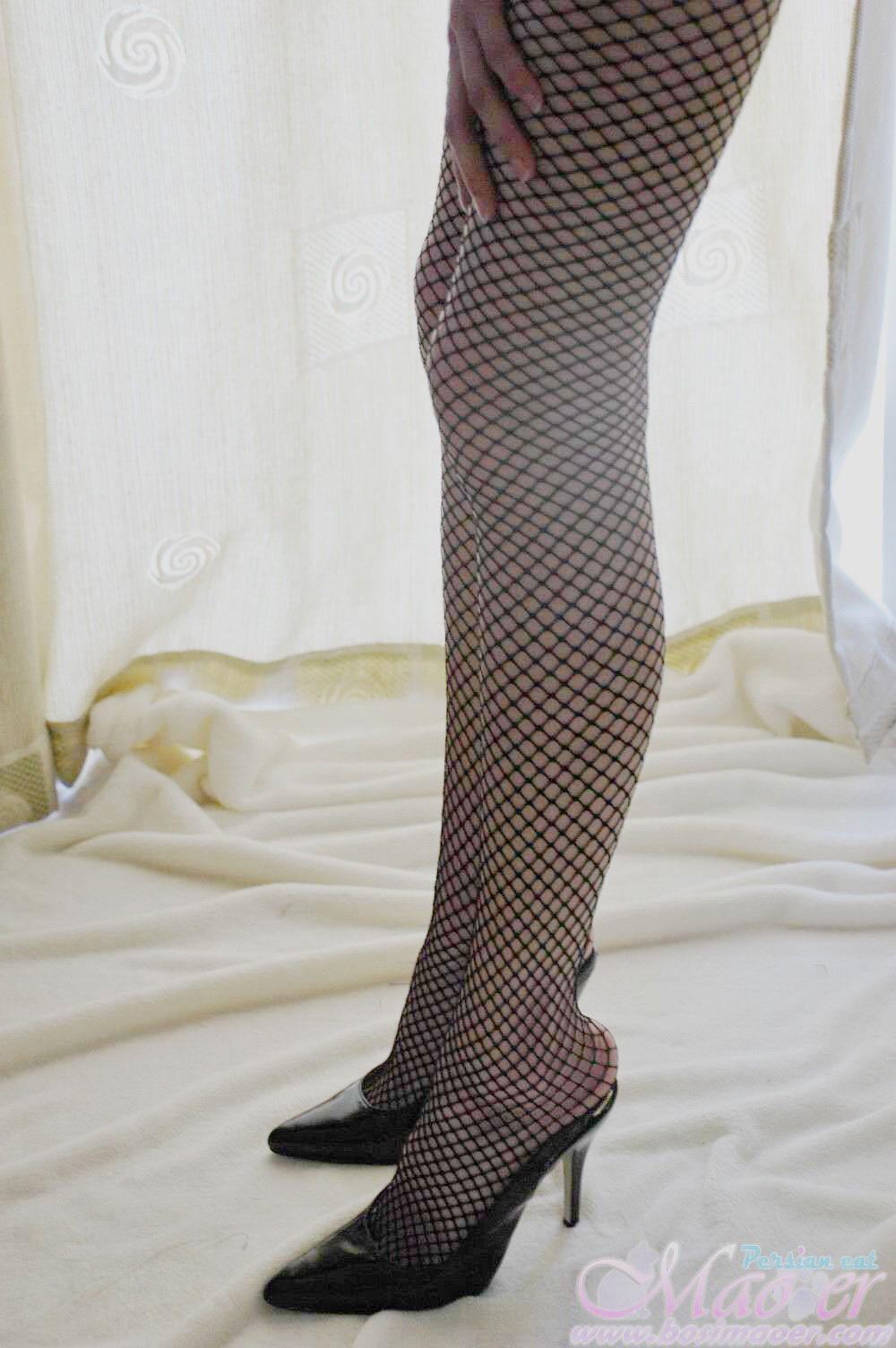 网格黑丝袜 波斯猫美女vip精选套图