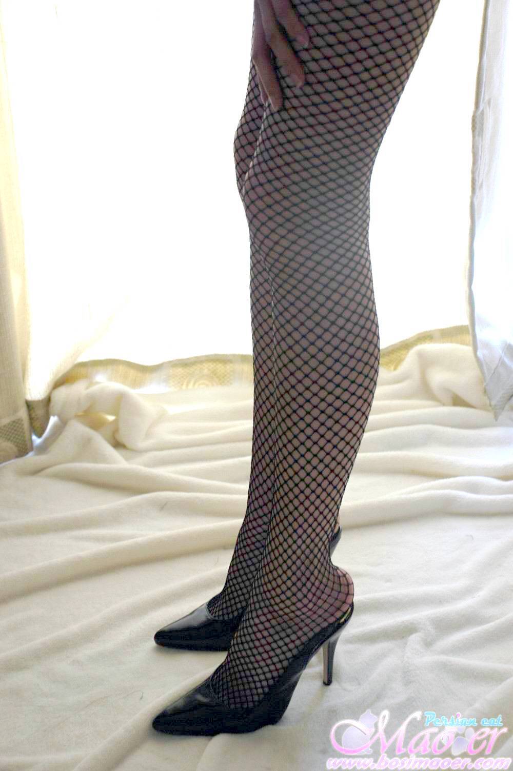 网格黑丝袜 波斯猫美女vip精选套图
