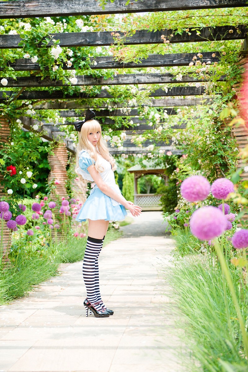 [Cosplay] 2013.03.20 Alice in Wonderland by Necoco