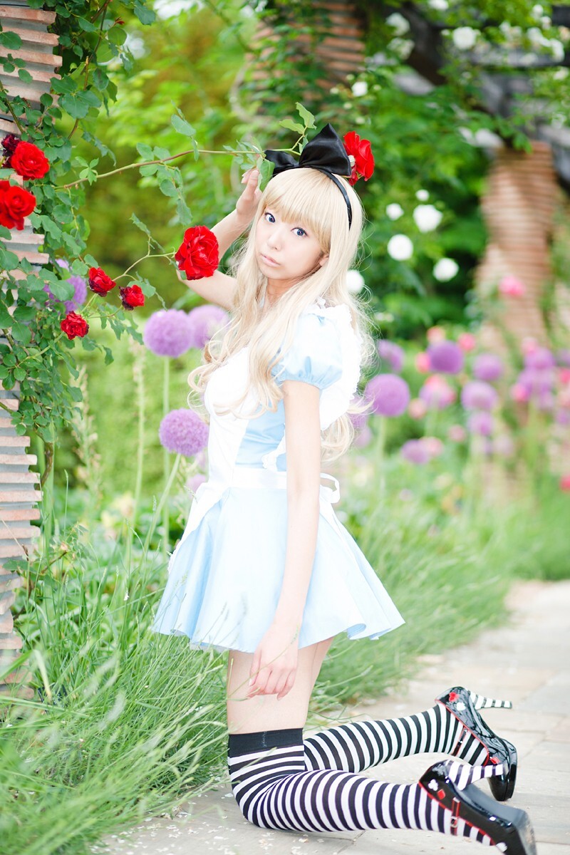 [Cosplay] 2013.03.20 Alice in Wonderland by Necoco