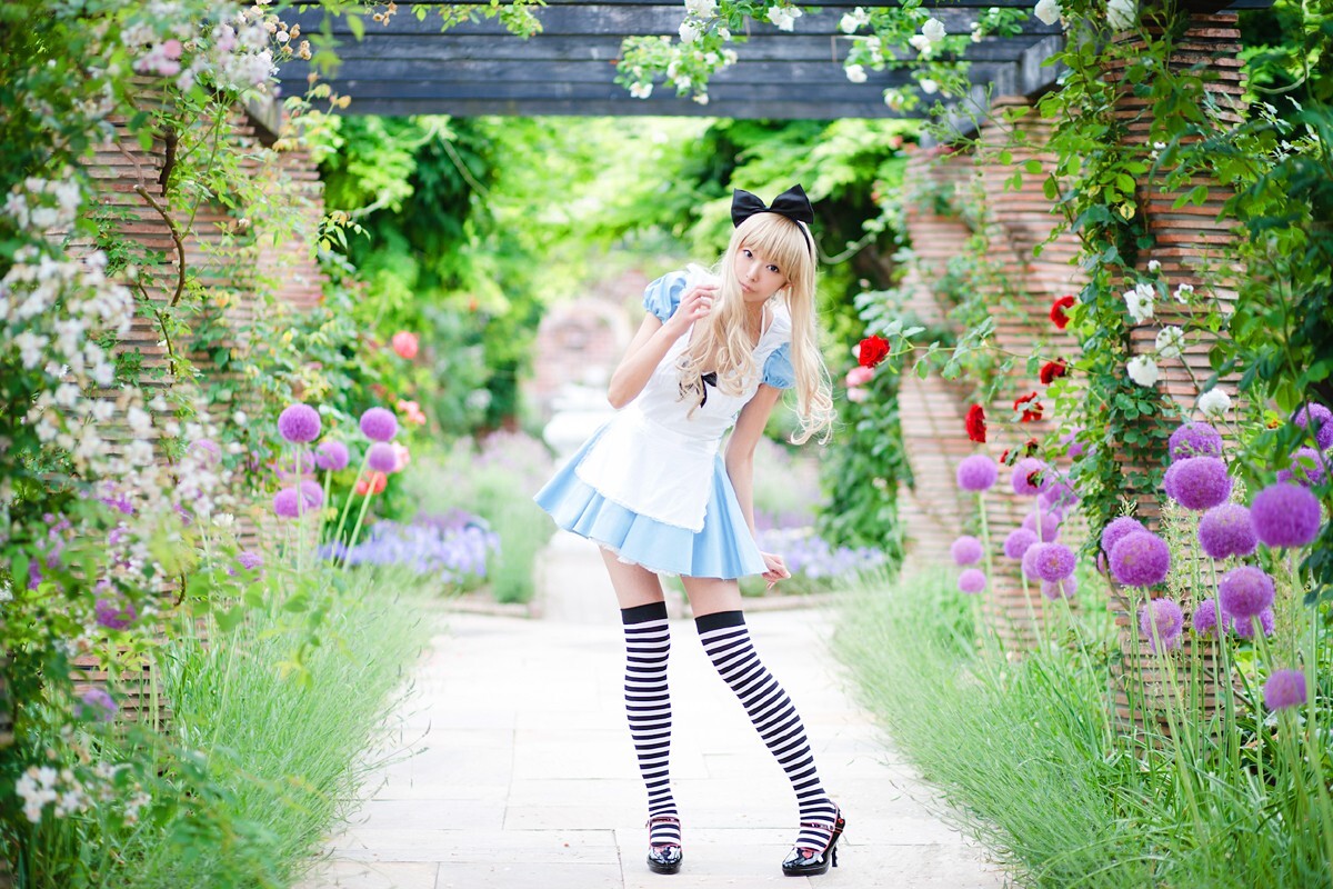 [Cosplay] 2013.03.20 Alice in Wonderland by Necoco