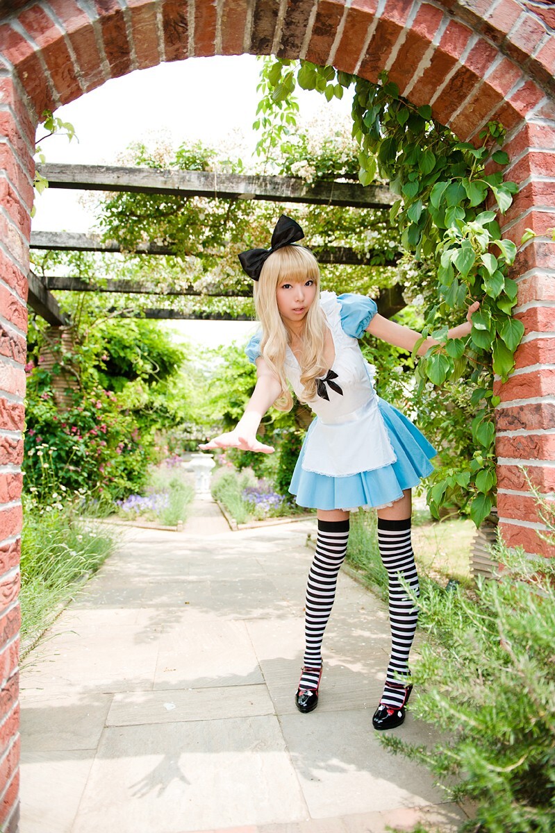 [Cosplay] 2013.03.20 Alice in Wonderland by Necoco