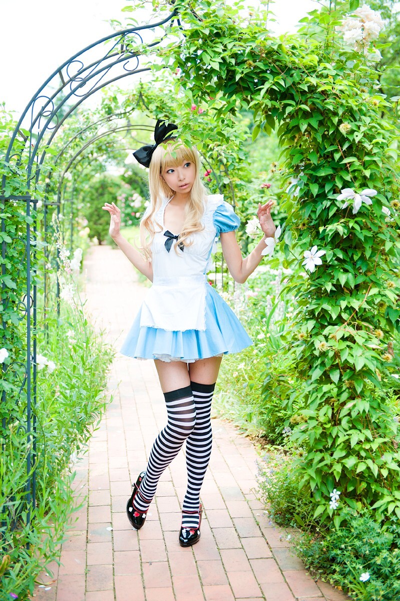 [Cosplay] 2013.03.20 Alice in Wonderland by Necoco