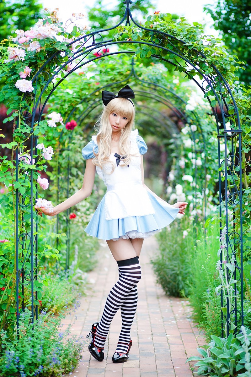 [Cosplay] 2013.03.20 Alice in Wonderland by Necoco
