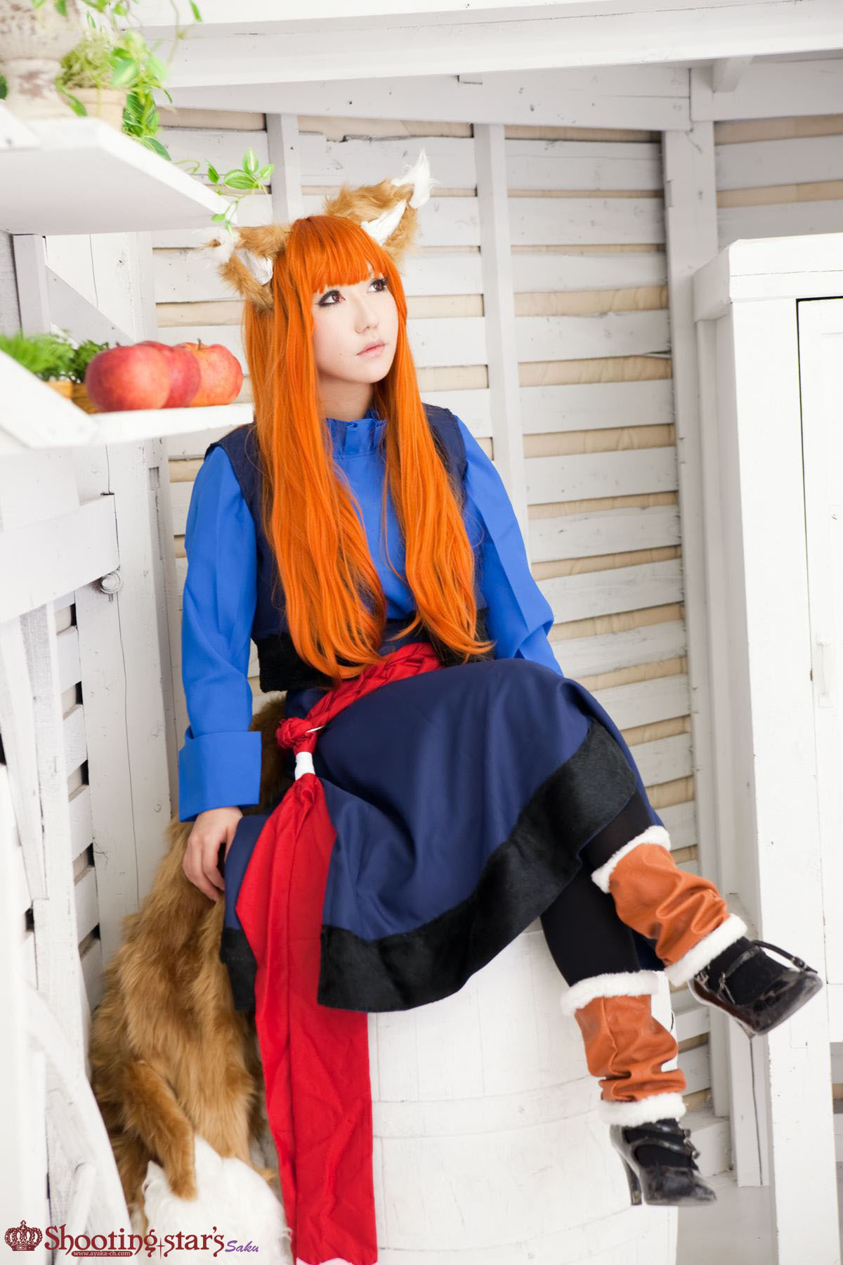 [Cosplay]  Awesome Spice Wolf Cosplay Must See