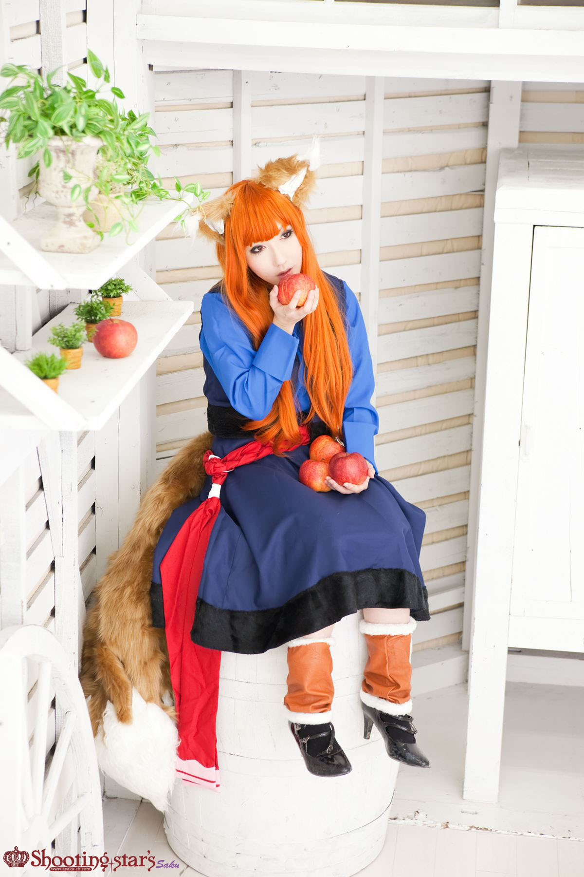 [Cosplay]  Awesome Spice Wolf Cosplay Must See