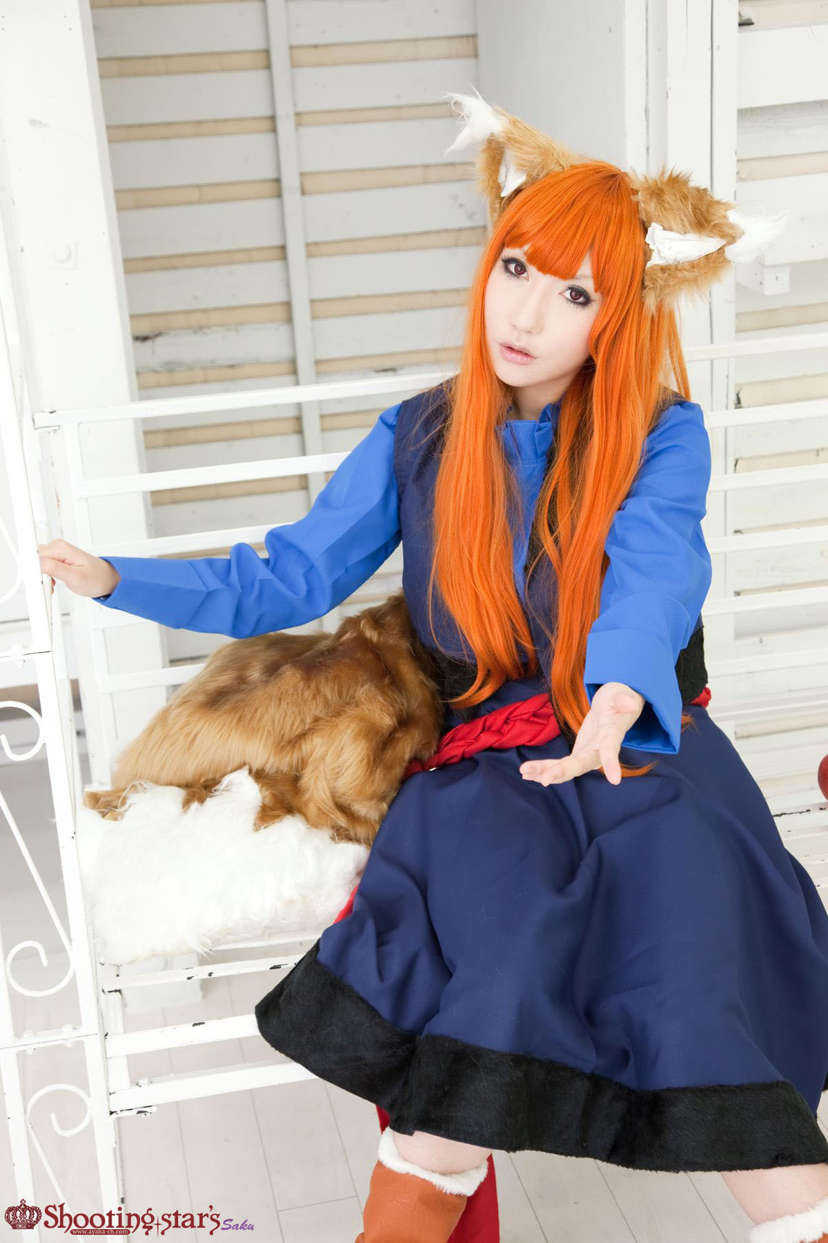 [Cosplay]  Awesome Spice Wolf Cosplay Must See