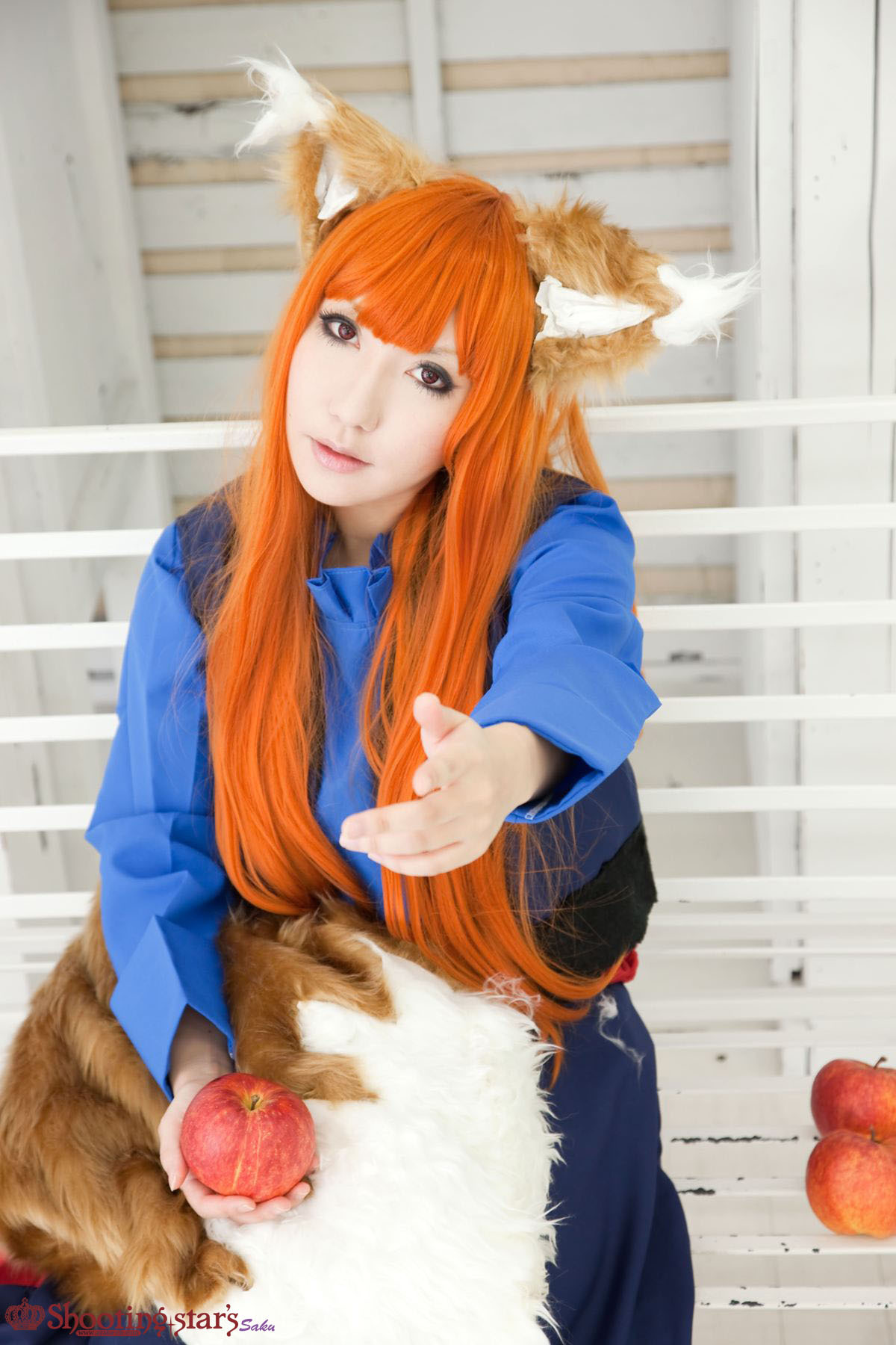 [Cosplay]  Awesome Spice Wolf Cosplay Must See