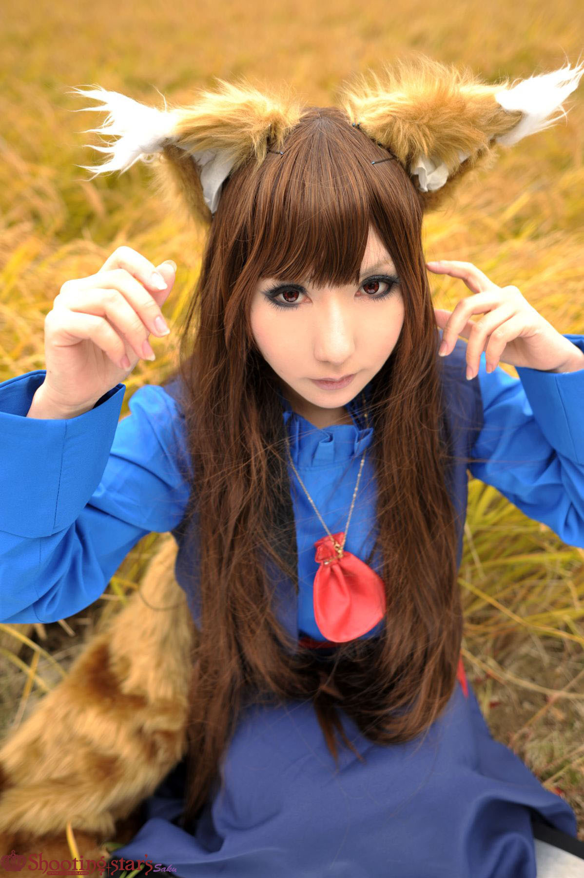 [Cosplay]  Awesome Spice Wolf Cosplay Must See
