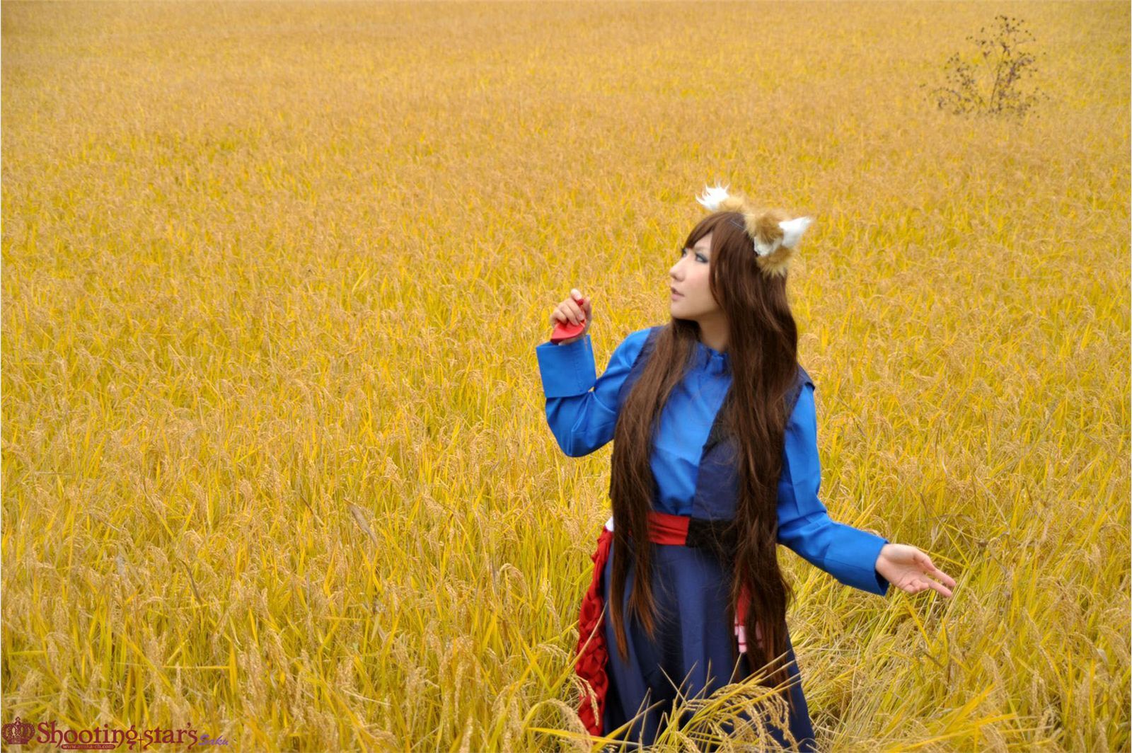 [Cosplay]  Awesome Spice Wolf Cosplay Must See