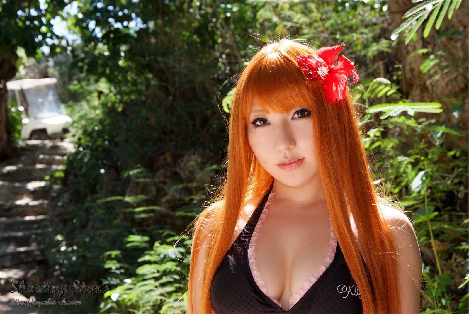 比尼写真 [Cosplay] Dead Or Alive