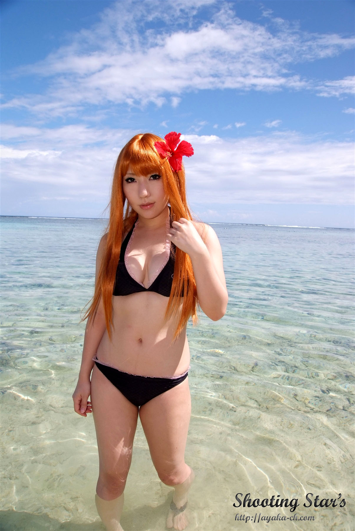 比尼写真 [Cosplay] Dead Or Alive