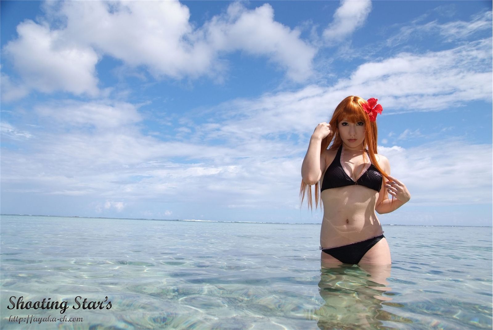 比尼写真 [Cosplay] Dead Or Alive