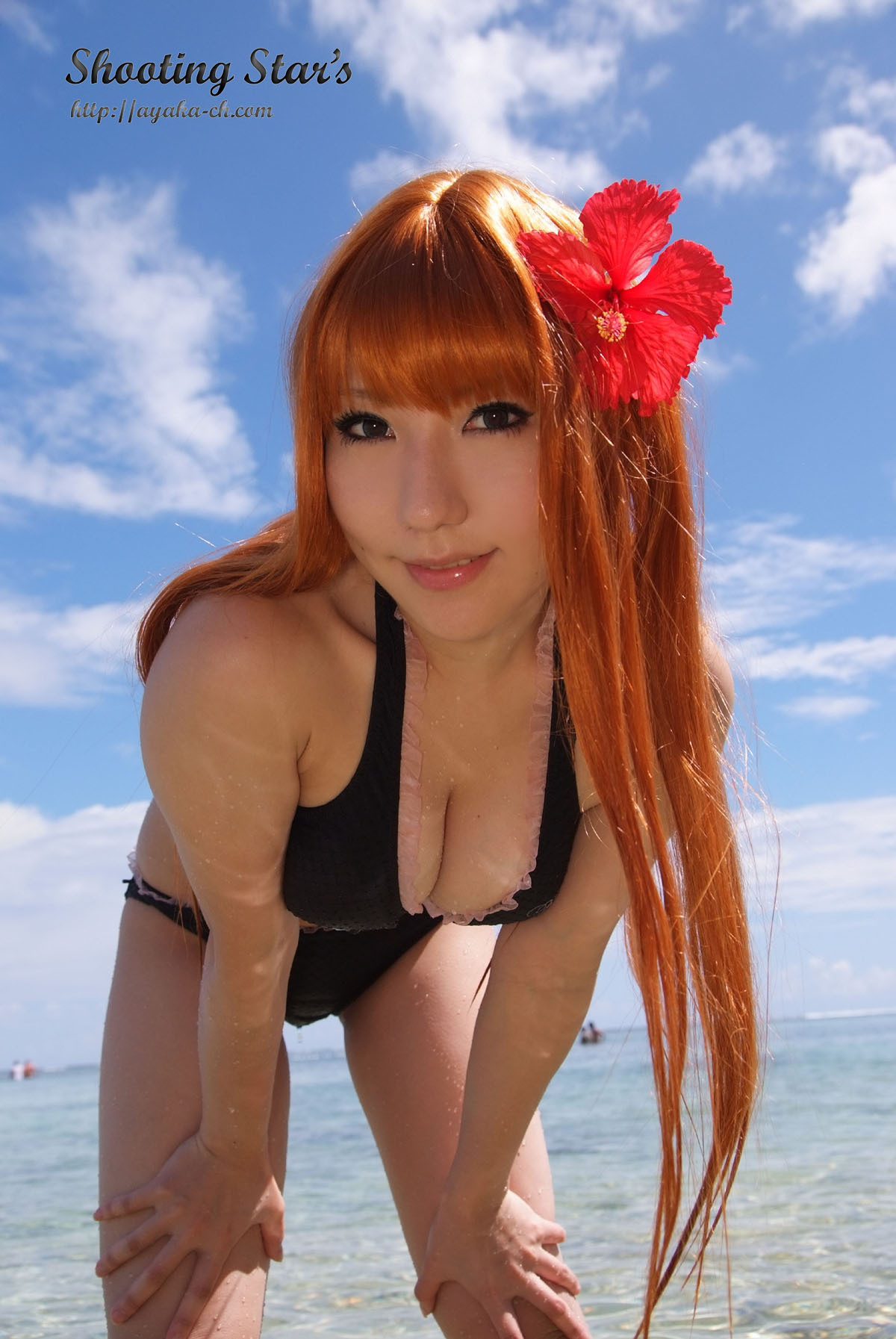 比尼写真 [Cosplay] Dead Or Alive