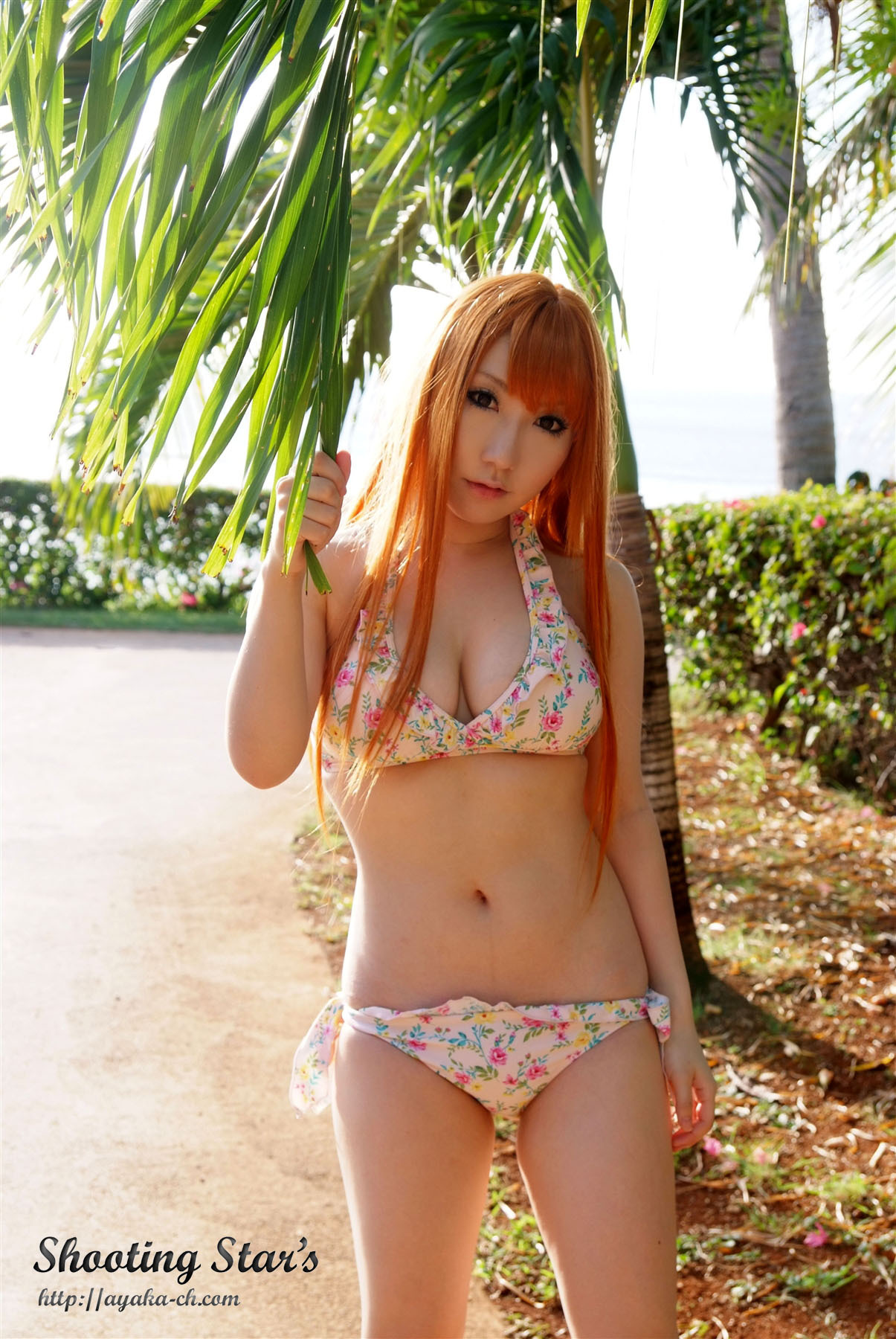日本性感比尼写真 [Cosplay] Dead Or Alive (2)
