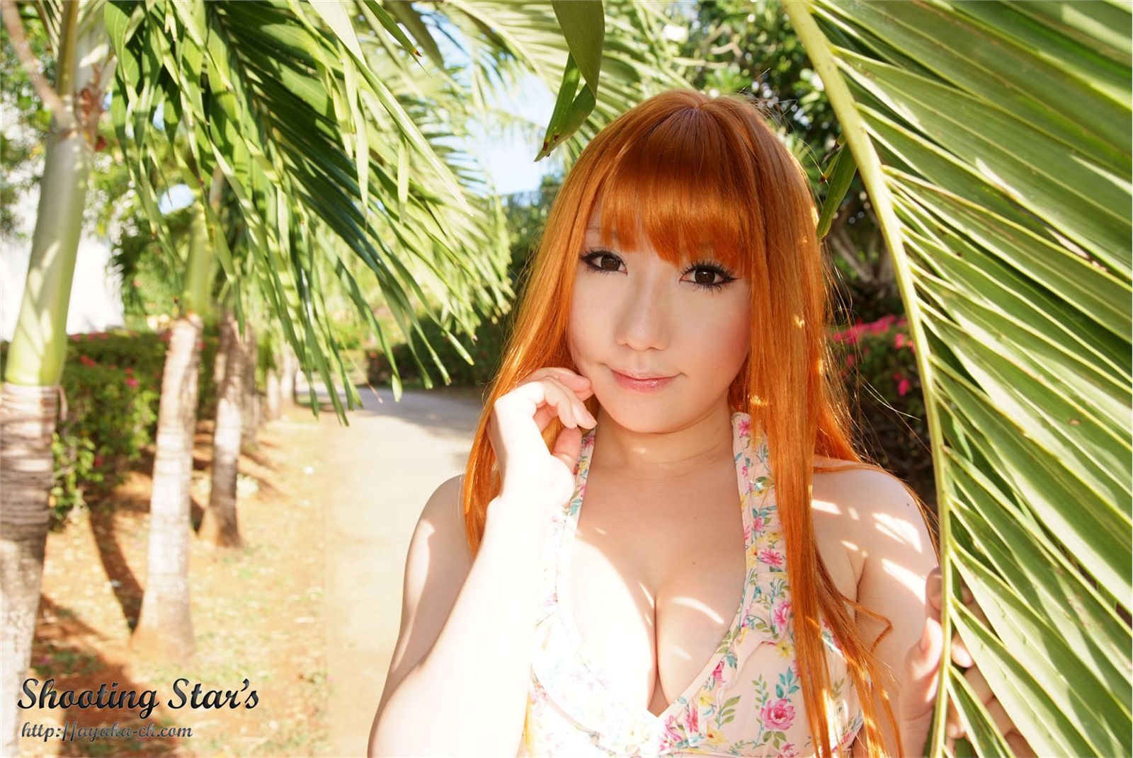 日本性感比尼写真 [Cosplay] Dead Or Alive (2)